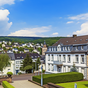 Kammerjäger Bad Neuenahr-Ahrweiler 