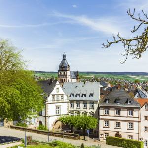 Kammerjäger Hofheim am Taunus 