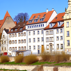 Kammerjäger Lutherstadt Eisleben 