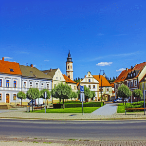 Kammerjäger Pirmasens 