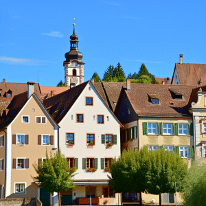 Kammerjäger Wangen im Allgäu 