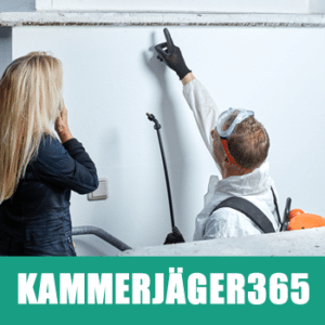 kammerjaeger365-beratung-service