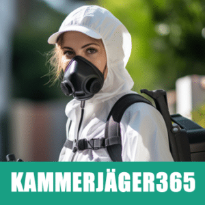 kammerjaeger365-ratten-loswerden