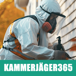 kammerjaeger365-wespen-entfernen