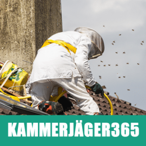 kammerjaeger365-wespen-entfernen3