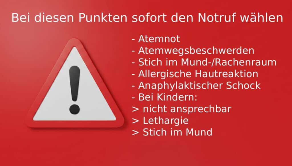 Wespenstiche – eine ernstzunehmende Gefahr 3 erstelle ein warndreieck auf rotem hintergrund und 3